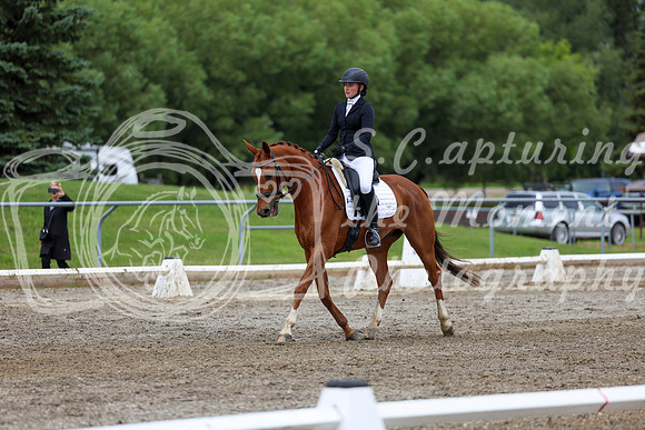 2025 - Dressage Festival - Sunday July 6th - 12259