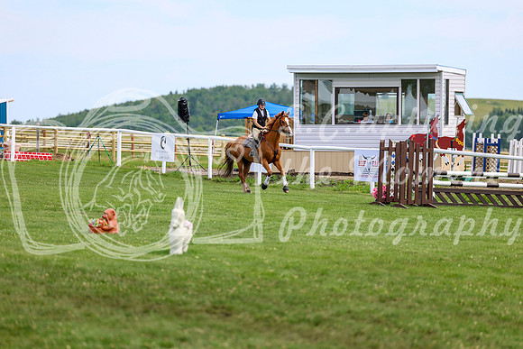 2025 - Shea - Teesdale - Thursday July 24th - 04263