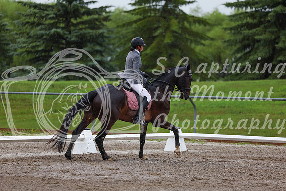 2025 - Dressage Festival - Sunday July 6th - 00717