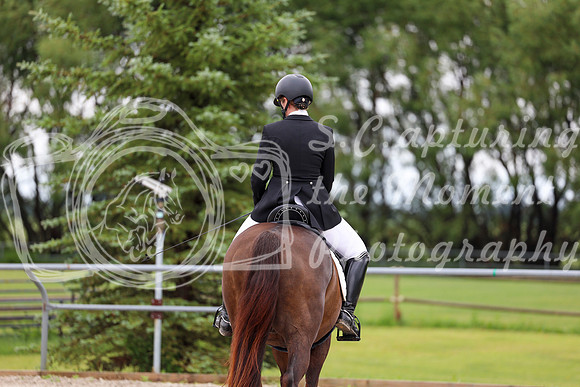 2025 - Dressage Festival - Sunday July 6th - 09565