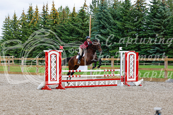 2025 - Haylee - Picco Horse Show - Saturday July 26th 06629