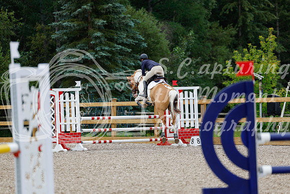 2025 - Haylee - Picco Horse Show - Thursday July 24th 02894