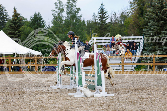 2025 - Haylee - Picco Horse Show - Sunday July 27th 01675