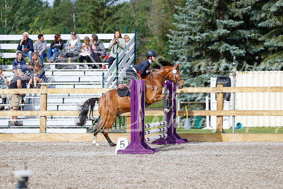 2025 - Haylee - Picco Horse Show - Friay July 25th 00661
