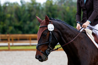 2025 - Haylee - Picco Horse Show - Sunday July 27th 00884