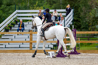 2025 - Haylee - Picco Horse Show - Friay July 25th 03733