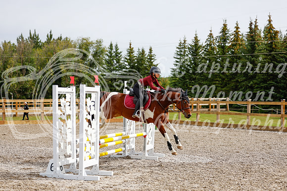 2025 - Haylee - Picco Horse Show - Friay July 25th 00873