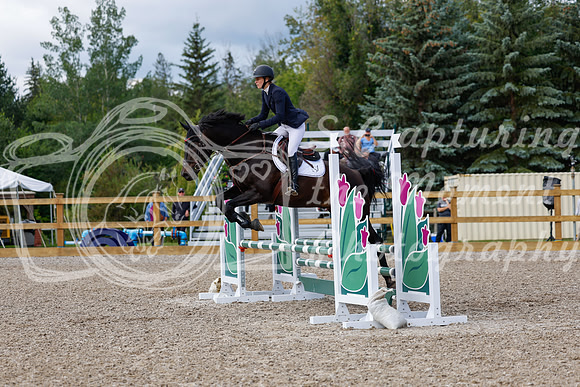 2025 - Haylee - Picco Horse Show - Sunday July 27th 02853