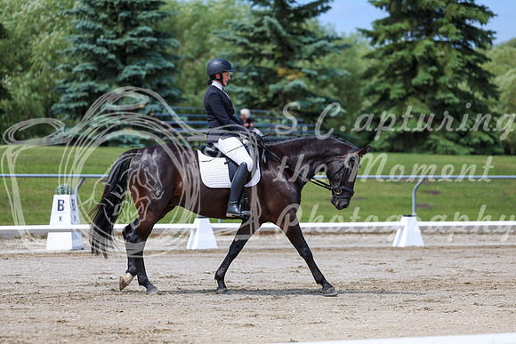2025 - Dressage Festival - Saturday July 5th - 07099