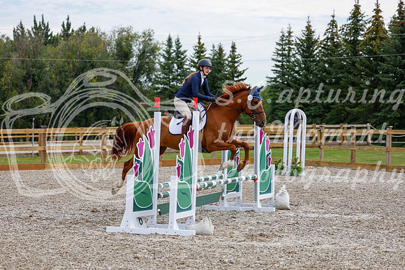 2025 - Haylee - Picco Horse Show - Saturday July 26th 01770