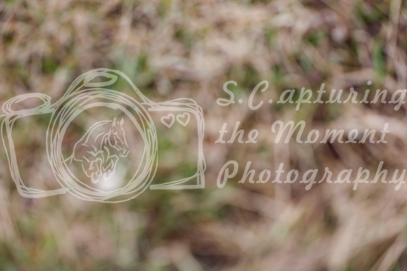 2025 - Haylee - Spring Welcome - Sunday April 27th - 02425