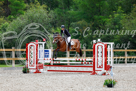 2025 - Haylee - Picco Horse Show - Sunday July 27th 03887