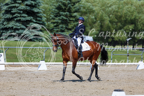 2025 - Dressage Festival - Saturday July 5th - 05646