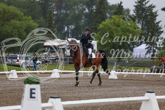 2025 - Dressage Festival - Sunday July 6th - 00343