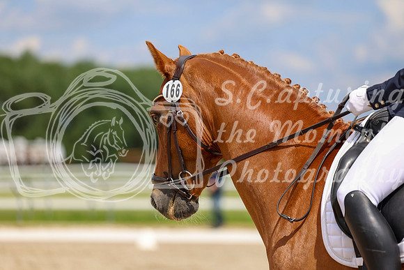 2025 - Dressage Festival - Saturday July 5th - 12438