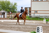 2025 - Dressage Festival - Sunday July 6th - 11080