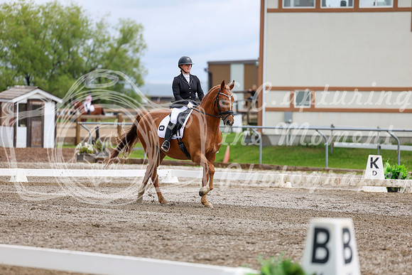 2025 - Dressage Festival - Sunday July 6th - 11080