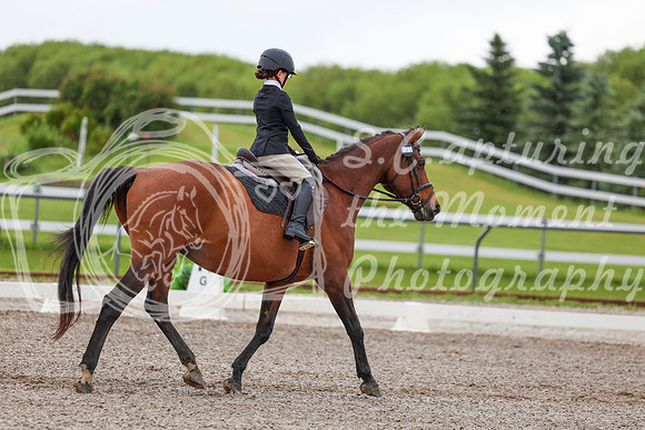 2025 - Dressage Festival - Sunday July 6th - 01834