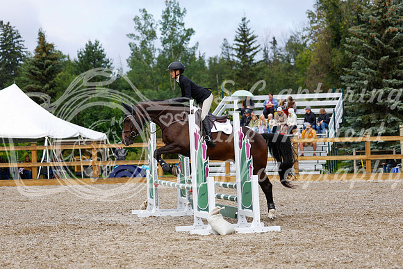 2025 - Haylee - Picco Horse Show - Sunday July 27th 02088
