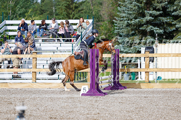 2025 - Haylee - Picco Horse Show - Friay July 25th 00660