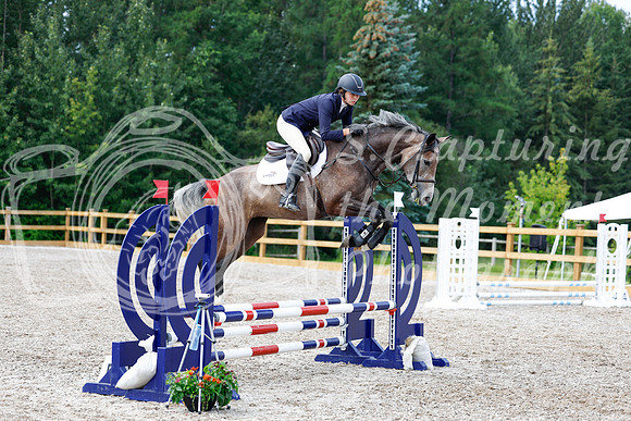 2025 - Haylee - Picco Horse Show - Saturday July 26th 03441