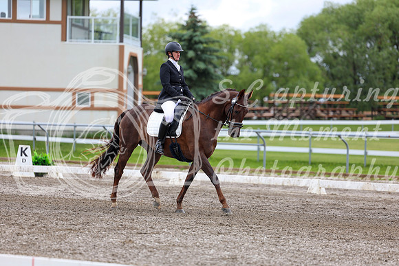 2025 - Dressage Festival - Sunday July 6th - 09574