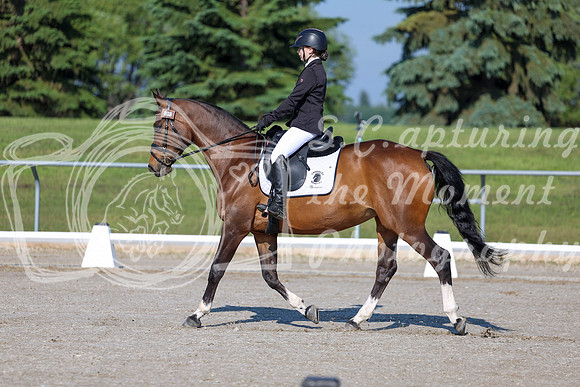 2025 - Dressage Festival - Saturday July 5th - 00435