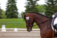 2025 - Dressage Festival - Sunday July 6th - 02401