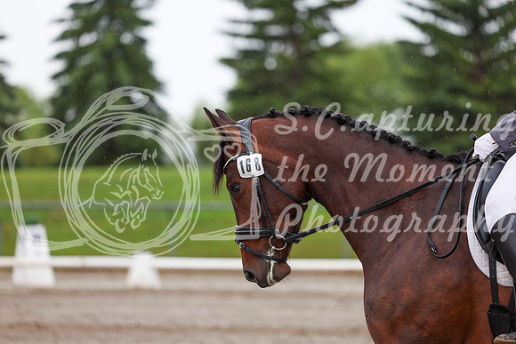 2025 - Dressage Festival - Sunday July 6th - 02401