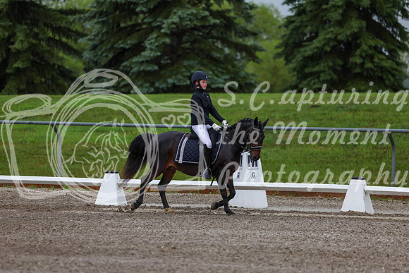 2025 - Dressage Festival - Sunday July 6th - 00030