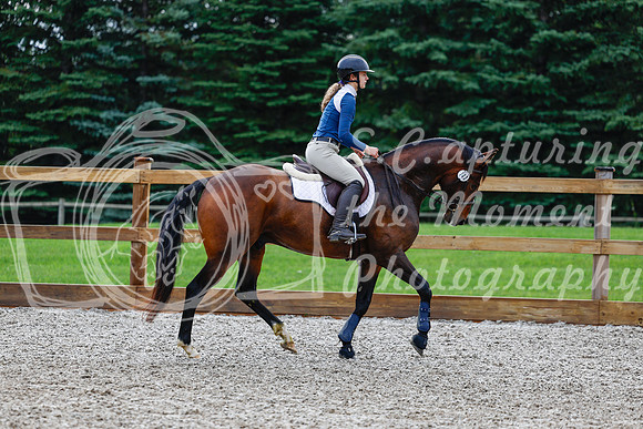 2025 - Haylee - Picco Horse Show - Saturday July 26th 00357