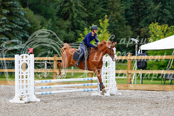 2025 - Haylee - Picco Horse Show - Sunday July 27th 01942