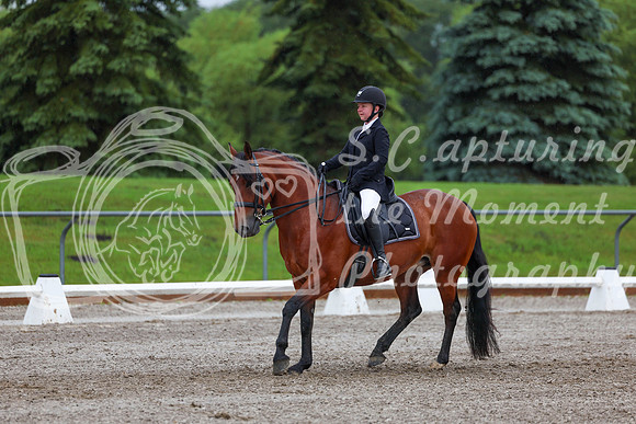 2025 - Dressage Festival - Sunday July 6th - 01069