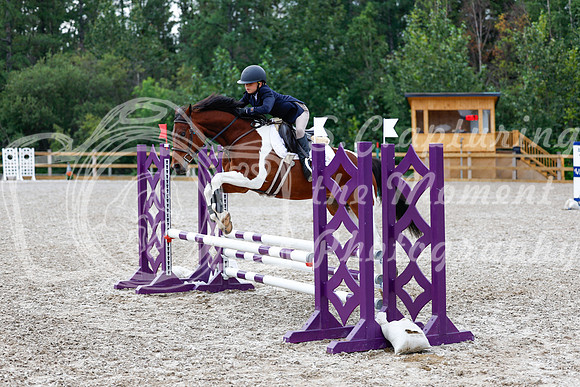 2025 - Haylee - Picco Horse Show - Saturday July 26th 01834