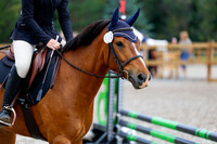 2025 - Haylee - Picco Horse Show - Saturday July 26th 01110