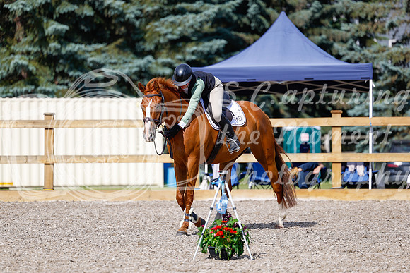 2025 - Haylee - Picco Horse Show - Thursday July 24th 01265