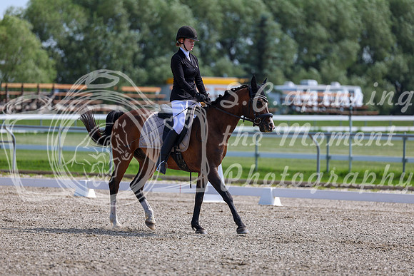 2025 - Dressage Festival - Saturday July 5th - 03100