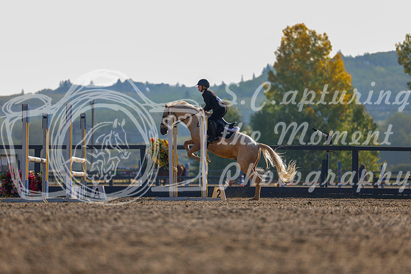 2025 - Shea - Fall Finale - Thursday September 11th - 01445