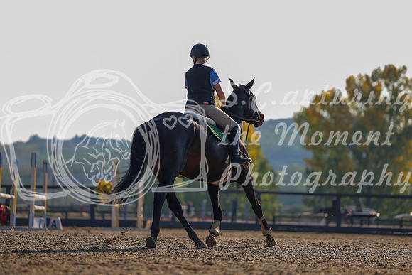 2025 - Shea - Fall Finale - Thursday September 11th - 01600