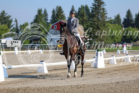 2025 - Dressage Festival - Saturday July 5th - 00104