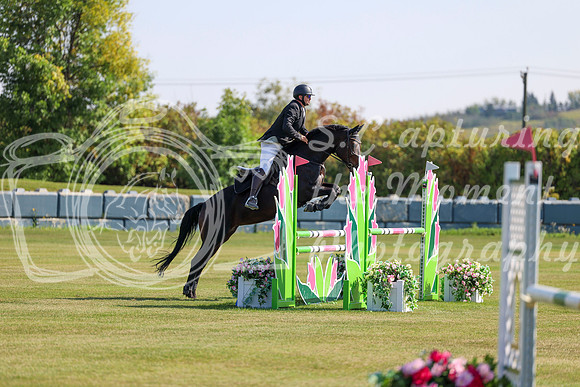 2025 - Shea - Fall Finale - Thursday September 11th - 03550