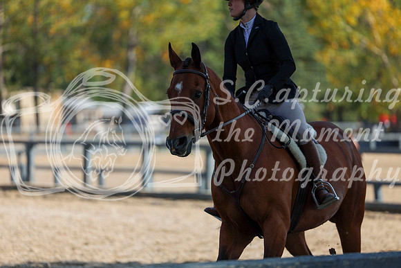 2025 - Shea - Fall Finale - Thursday September 11th - 06446