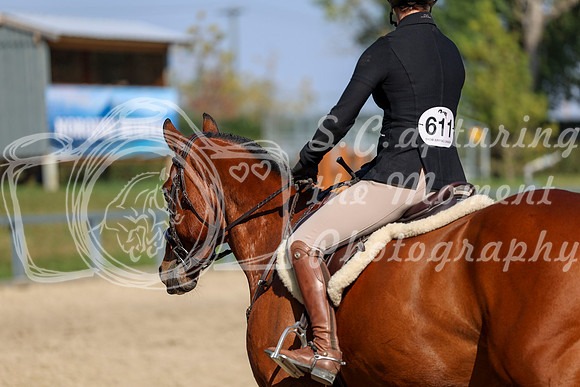 2025 - Shea - Fall Finale - Thursday September 11th - 06450