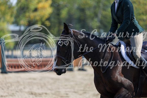 2025 - Shea - Fall Finale - Thursday September 11th - 04730
