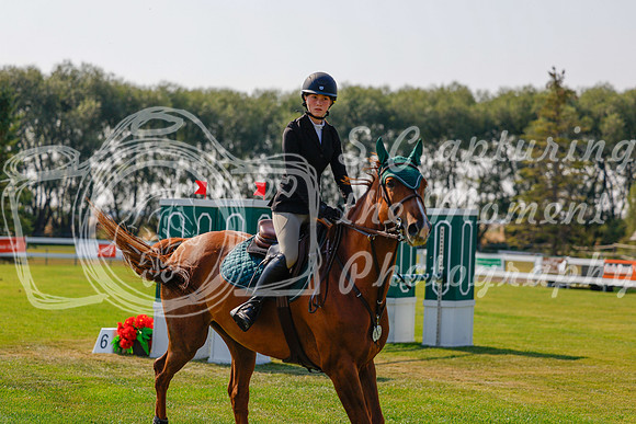 2025 - Haylee - Harvest Horse Show - Thursday, September 11th 01725