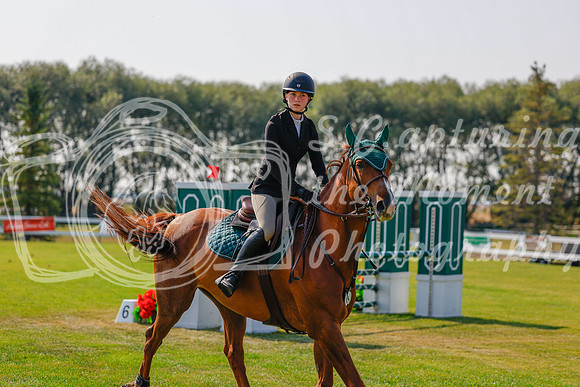 2025 - Haylee - Harvest Horse Show - Thursday, September 11th 01723