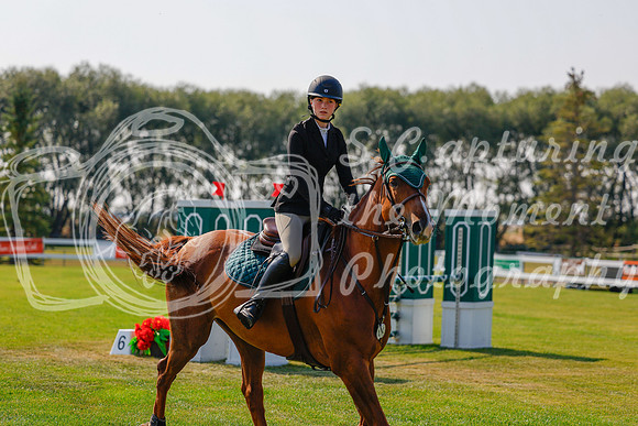 2025 - Haylee - Harvest Horse Show - Thursday, September 11th 01724