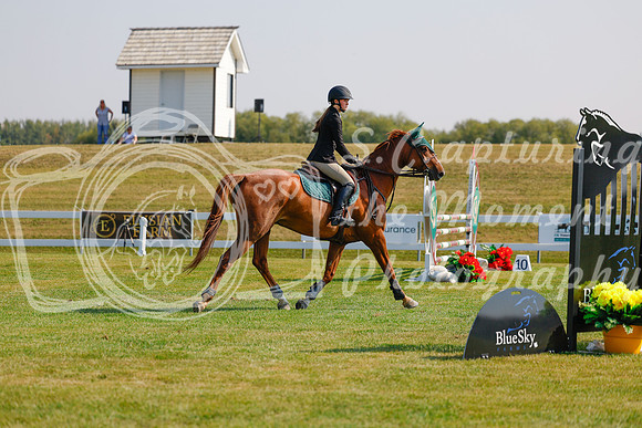 2025 - Haylee - Harvest Horse Show - Thursday, September 11th 01722