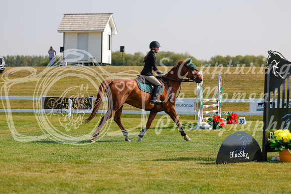 2025 - Haylee - Harvest Horse Show - Thursday, September 11th 01721