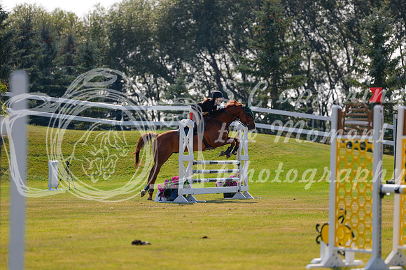 2025 - Haylee - Harvest Horse Show - Thursday, September 11th 01729